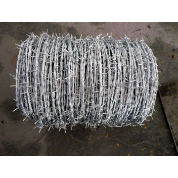 Hot Dipped Galvanized Wire